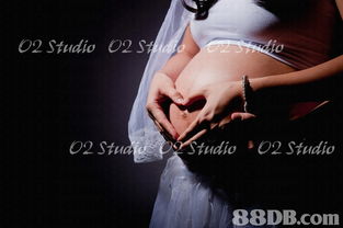 专业摄影摄像服务，以丰富经验为您定格精彩瞬间