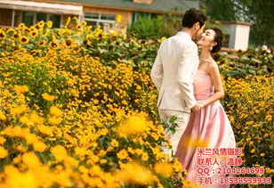 探索米兰风情摄影与郑州婚纱摄影排行 专业服务全解析